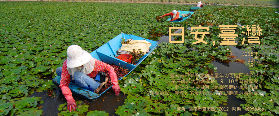 365 日安，臺灣之2018年11月19日